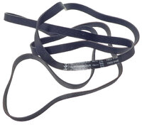 Dryer drive belt 1922H8 EL (1529037)