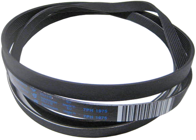 Electrolux dryer drive belt 1975H7 - fhp.fi - appliance spare parts