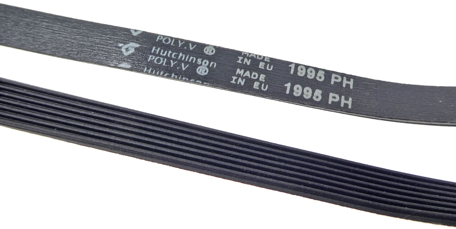 Cinghia Asciugatrice Poly-V 1995 PH 7 con Codice Originale 00650499