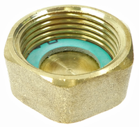 Brass plug 3/4" female thread