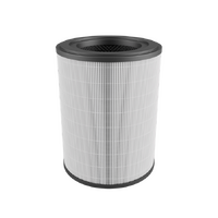 AEG / Electrolux air cleaner filter