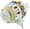 Electrolux tiskikoneen kiertovesipumppu 140002105025