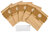 AEG GR12 Vampyr dust bags 5pcs